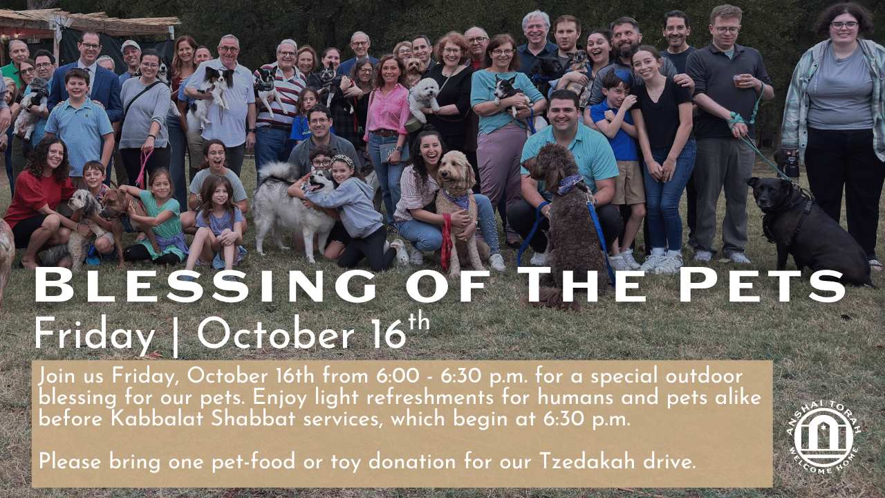 Blessing of the Pets
